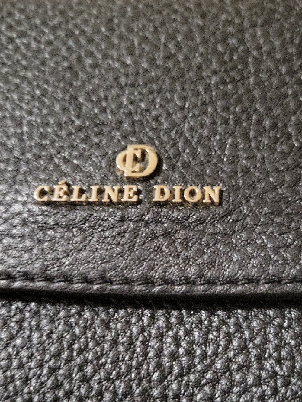 Céline Dion Black Pebbled Leather Crossbody Bag with Gold Hardware - Picture 6 of 10